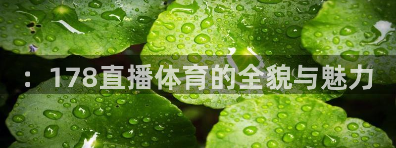 ：178直播体育的全貌与魅力