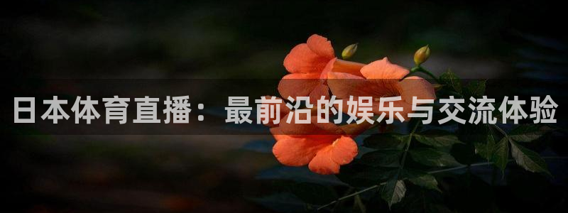 日本体育直播：最前沿的娱乐与交流体验