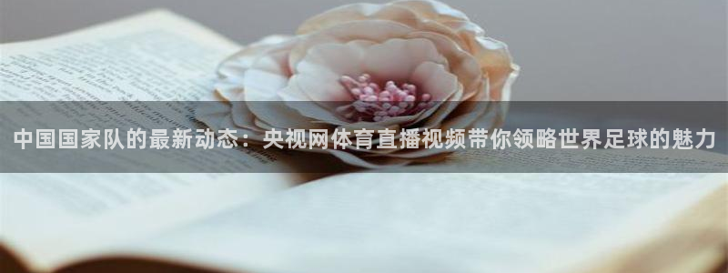 中国国家队的最新动态：央视网体育直播视频带你领略世界足球的魅力