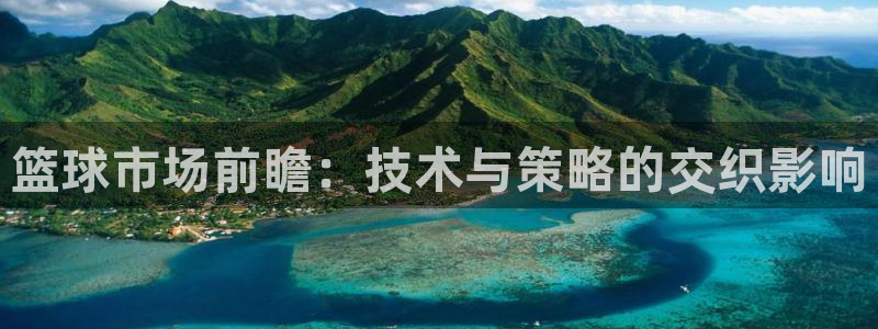篮球市场前瞻：技术与策略的交织影响