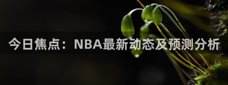 今日焦点：NBA最新动态及预测分析