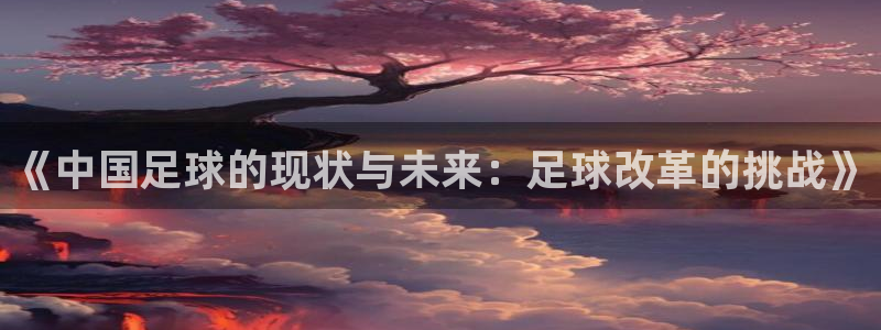 《中国足球的现状与未来：足球改革的挑战》