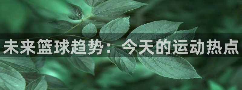 未来篮球趋势：今天的运动热点