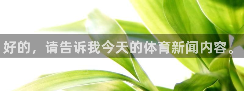好的，请告诉我今天的体育新闻内容。