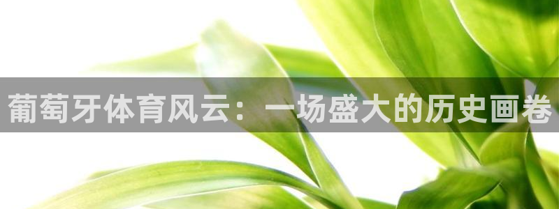 葡萄牙体育风云：一场盛大的历史画卷