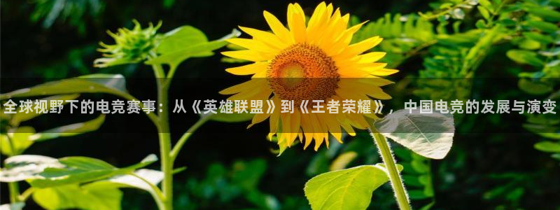 全球视野下的电竞赛事：从《英雄联盟》到《王者荣耀》，中国电竞的发展与演变