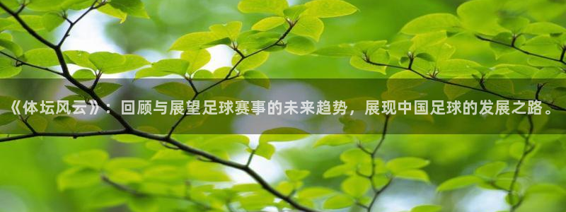 《体坛风云》：回顾与展望足球赛事的未来趋势，展现中国足球的发展之路。