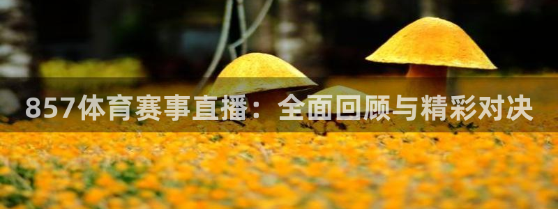 857体育赛事直播：全面回顾与精彩对决