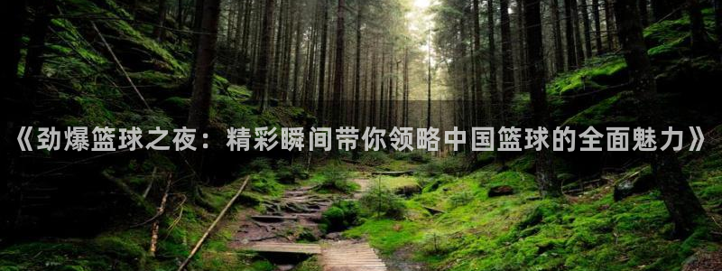 《劲爆篮球之夜：精彩瞬间带你领略中国篮球的全面魅力》