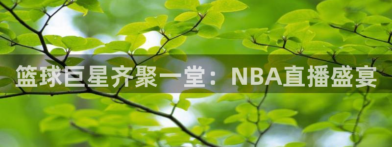 篮球巨星齐聚一堂：NBA直播盛宴