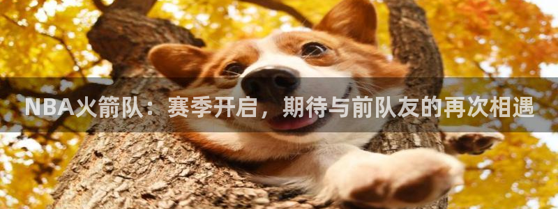 NBA火箭队：赛季开启，期待与前队友的再次相遇