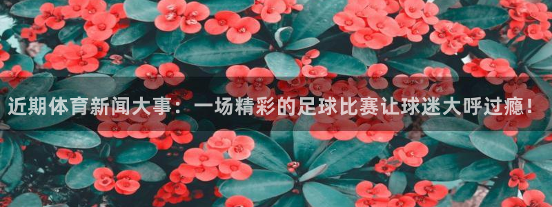 近期体育新闻大事：一场精彩的足球比赛让球迷大呼过瘾！