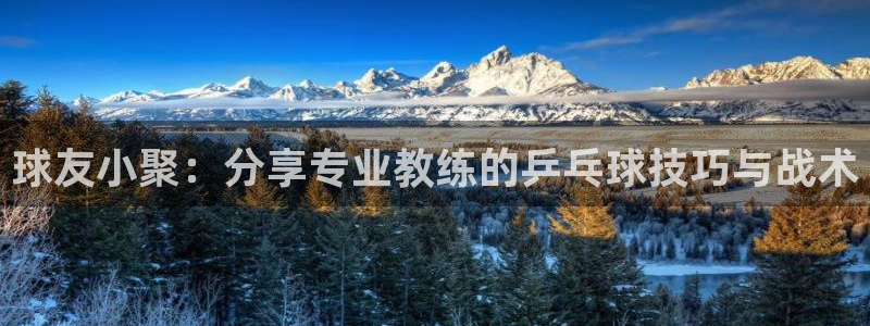 球友小聚：分享专业教练的乒乓球技巧与战术