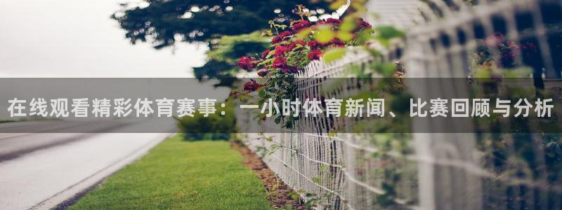 在线观看精彩体育赛事：一小时体育新闻、比赛回顾与分析