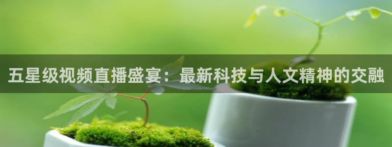 五星级视频直播盛宴：最新科技与人文精神的交融