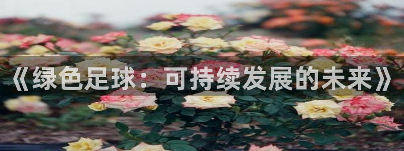 《绿色足球：可持续发展的未来》