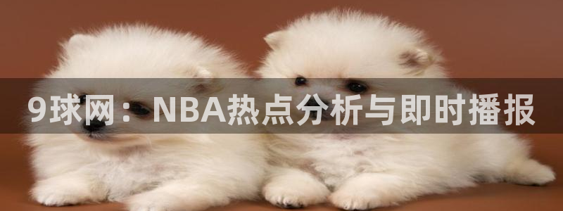 9球网：NBA热点分析与即时播报