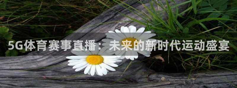 5G体育赛事直播：未来的新时代运动盛宴