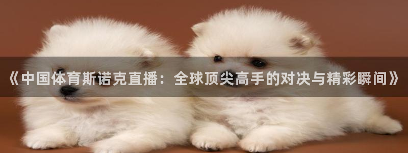 《中国体育斯诺克直播：全球顶尖高手的对决与精彩瞬间》