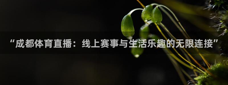 “成都体育直播：线上赛事与生活乐趣的无限连接”
