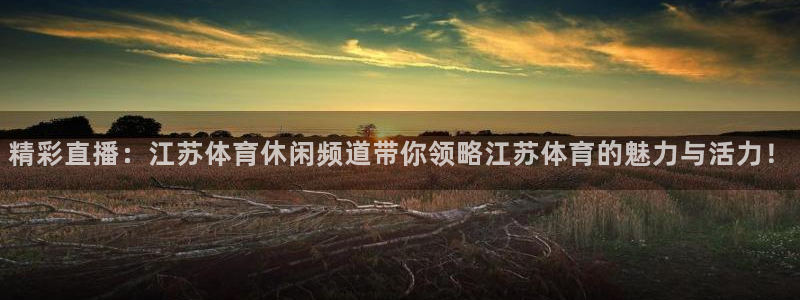 精彩直播：江苏体育休闲频道带你领略江苏体育的魅力与活力！