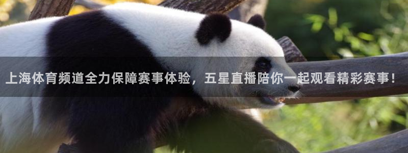 上海体育频道全力保障赛事体验，五星直播陪你一起观看精彩赛事！