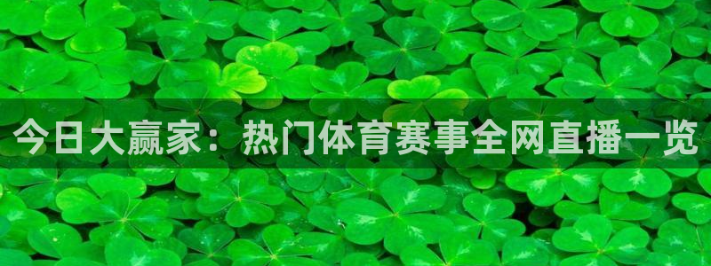 今日大赢家：热门体育赛事全网直播一览
