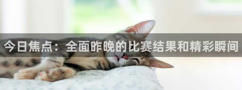 今日焦点：全面昨晚的比赛结果和精彩瞬间