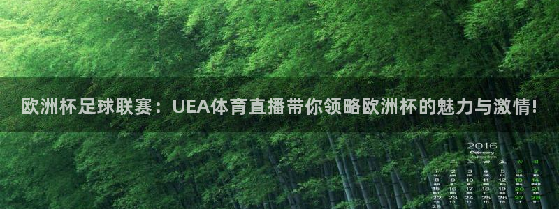 欧洲杯足球联赛：UEA体育直播带你领略欧洲杯的魅力与激情!