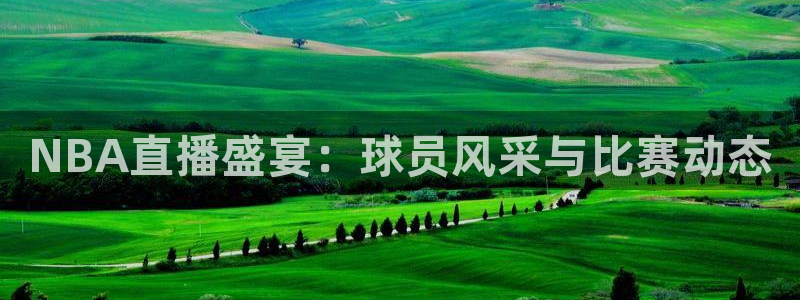 NBA直播盛宴：球员风采与比赛动态