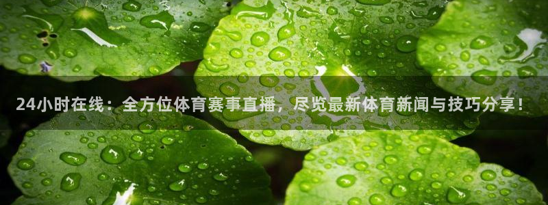 24小时在线：全方位体育赛事直播，尽览最新体育新闻与技巧分享！
