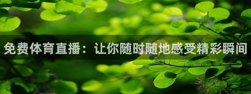 免费体育直播：让你随时随地感受精彩瞬间