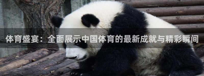 体育盛宴：全面展示中国体育的最新成就与精彩瞬间
