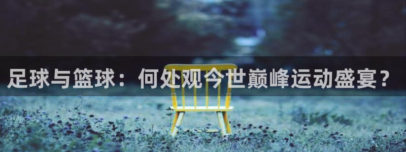 足球与篮球：何处观今世巅峰运动盛宴？