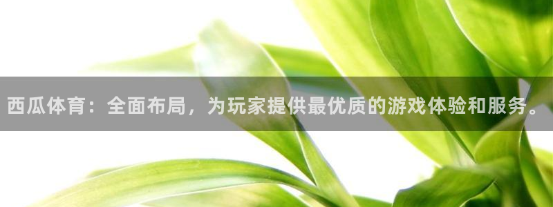西瓜体育：全面布局，为玩家提供最优质的游戏体验和服务。