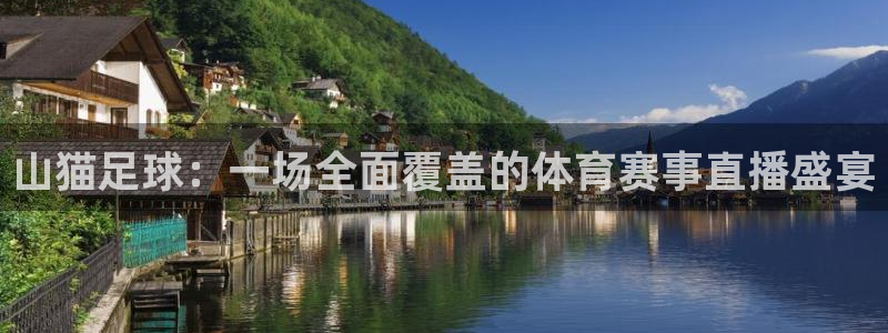 山猫足球：一场全面覆盖的体育赛事直播盛宴