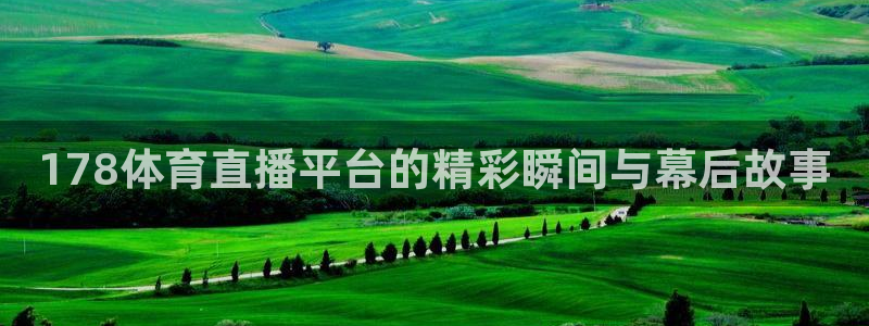 178体育直播平台的精彩瞬间与幕后故事