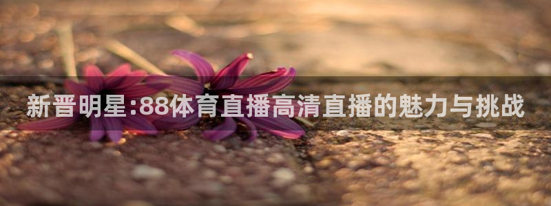 新晋明星:88体育直播高清直播的魅力与挑战