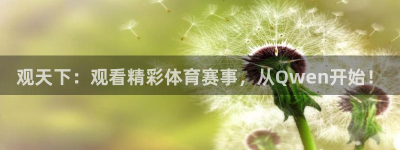观天下：观看精彩体育赛事，从Qwen开始！