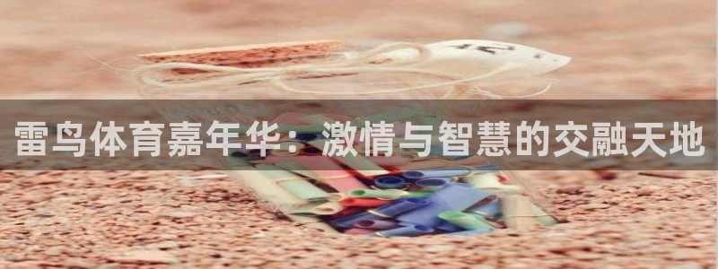 雷鸟体育嘉年华：激情与智慧的交融天地