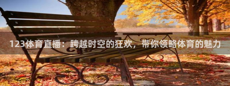 123体育直播：跨越时空的狂欢，带你领略体育的魅力