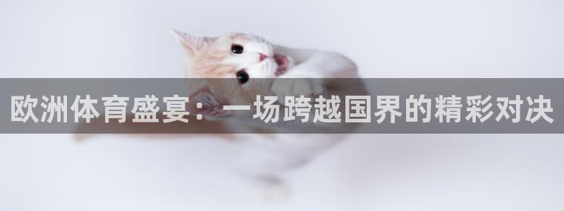 欧洲体育盛宴：一场跨越国界的精彩对决