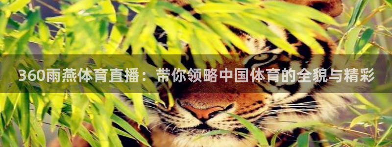 360雨燕体育直播：带你领略中国体育的全貌与精彩