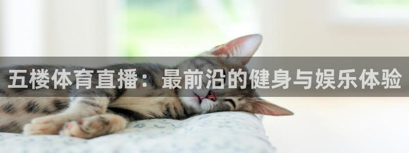 五楼体育直播：最前沿的健身与娱乐体验