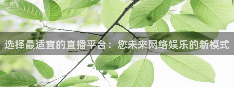 选择最适宜的直播平台：您未来网络娱乐的新模式
