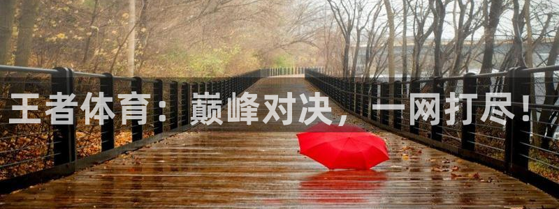 王者体育：巅峰对决，一网打尽！