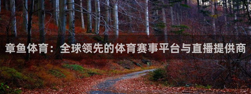 章鱼体育：全球领先的体育赛事平台与直播提供商