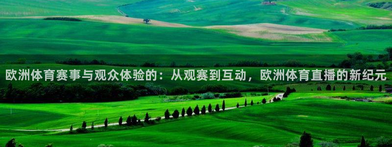 欧洲体育赛事与观众体验的：从观赛到互动，欧洲体育直播的新纪元