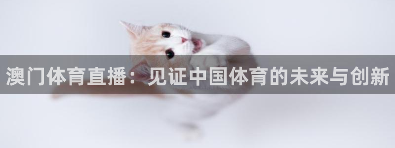 澳门体育直播：见证中国体育的未来与创新