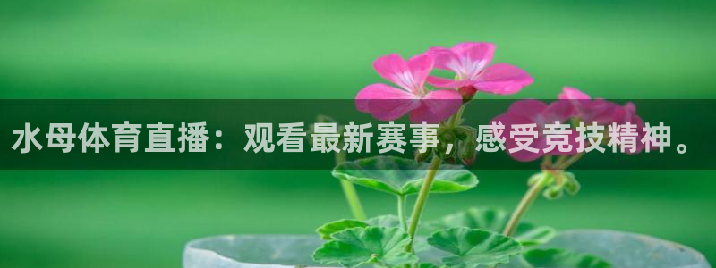 水母体育直播：观看最新赛事，感受竞技精神。